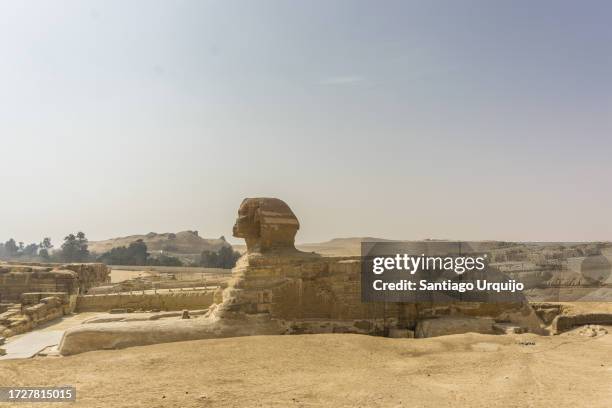 great sphinx - the sphinx stock pictures, royalty-free photos & images