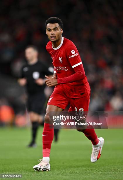 Cody Gakpo of Liverpool running during the Carabao Cup Third Round match between Liverpool FC and Leicester City at Anfield on September 27, 2023 in...