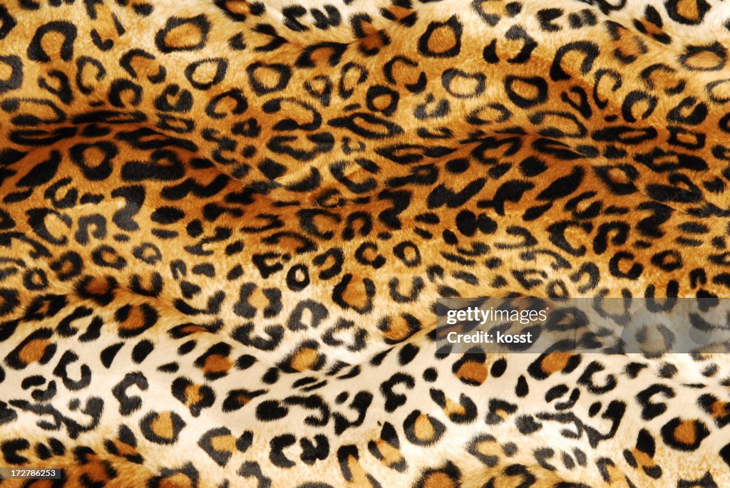 Animal Print #4