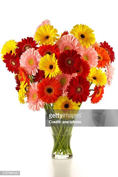 bouquet of different colored gerbera - gerbera daisy stock pictures, royalty-free photos & images