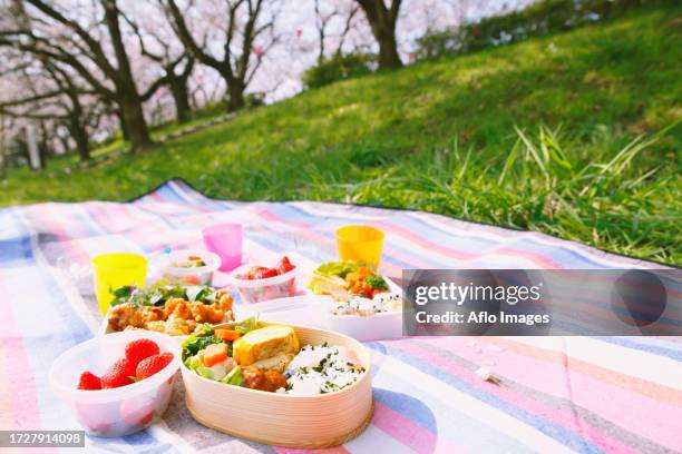 bento under the cherry blossoms - hanami stock pictures, royalty-free photos & images