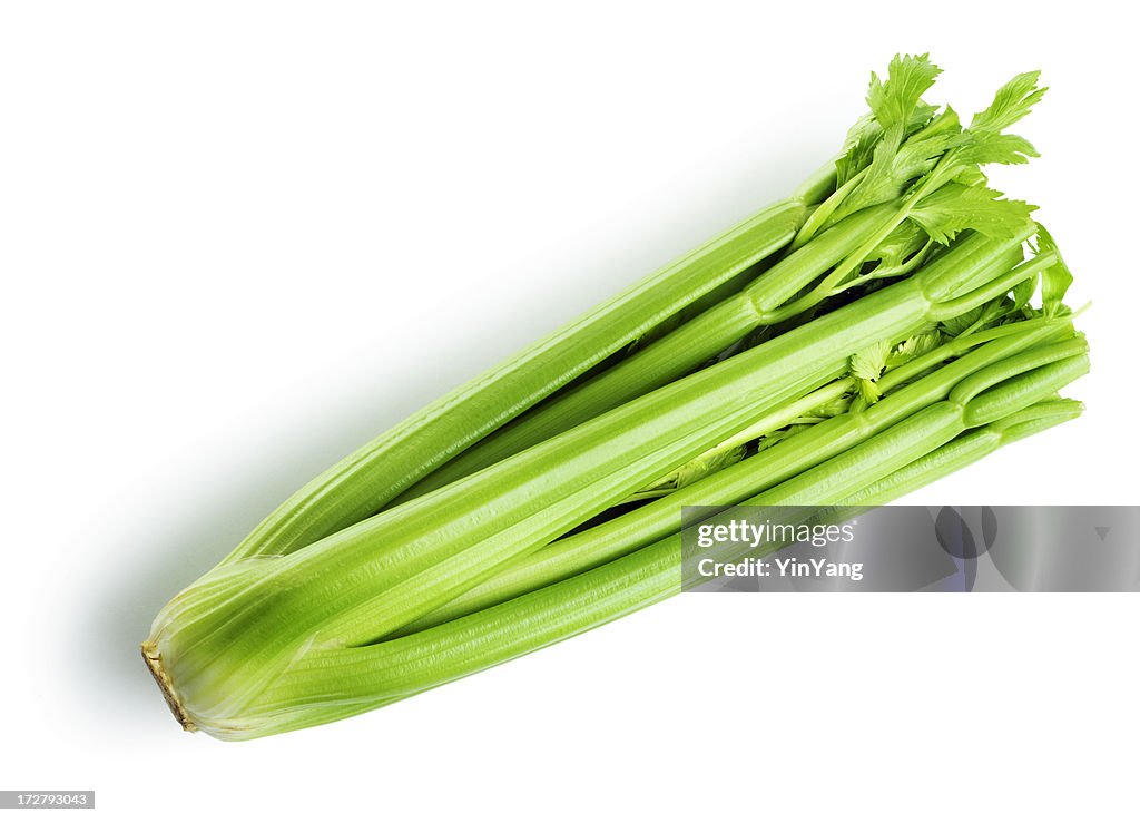 Celery Stem, Healthy Green Vegetable Isolated on White Background