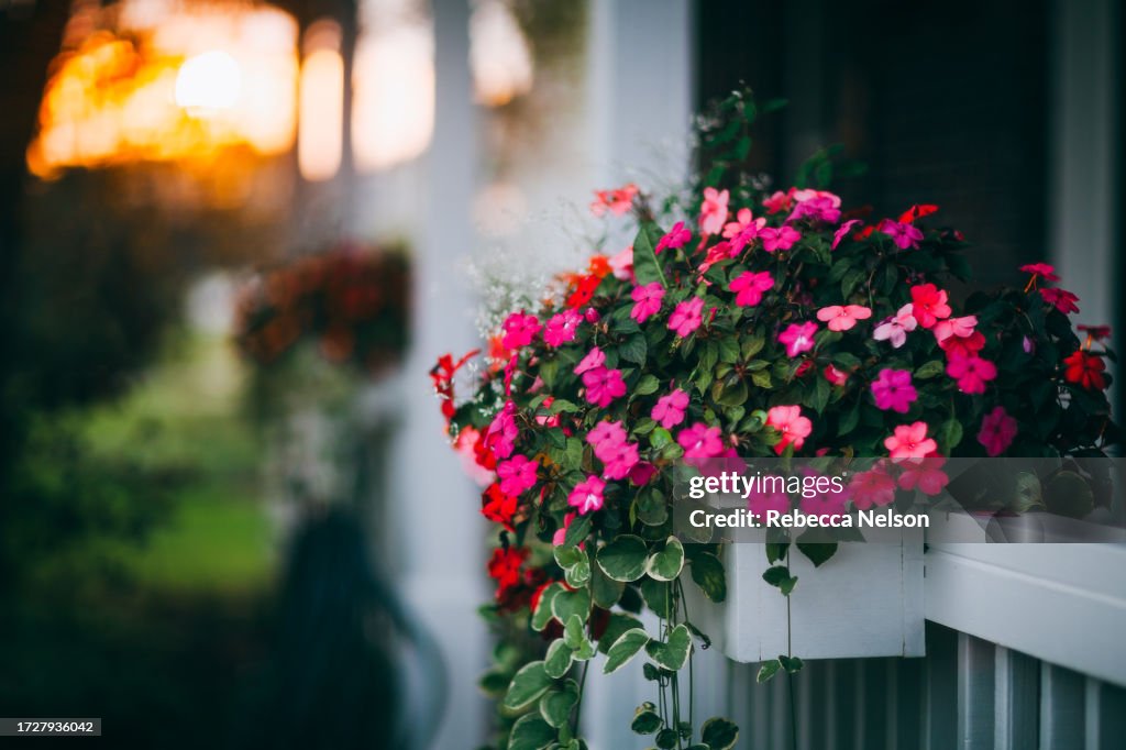 Flower planters on front porch at sunrise
