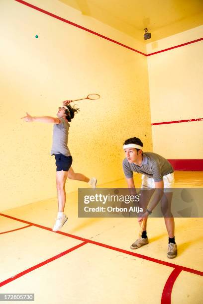 squash-ing - squash game stock pictures, royalty-free photos & images