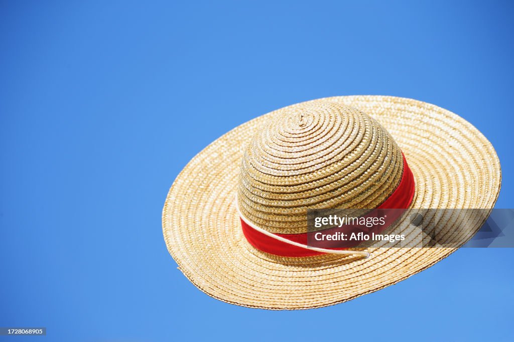 Straw hat flying in the sky