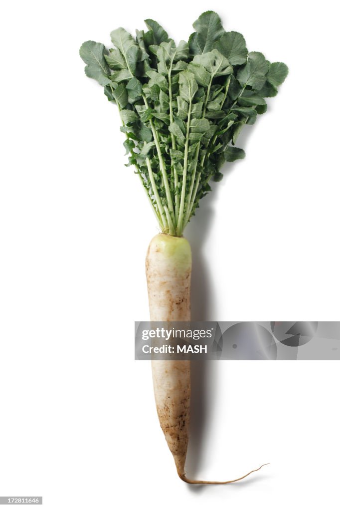 Daikon,a Japanese radish