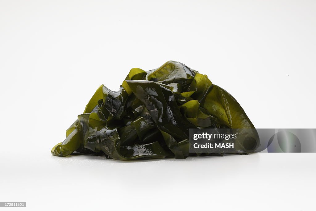 Wakame,seaweed