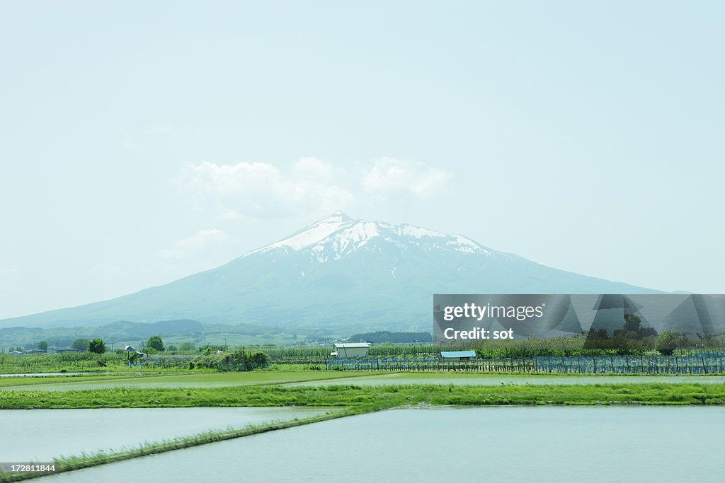 View of mountain from the train window