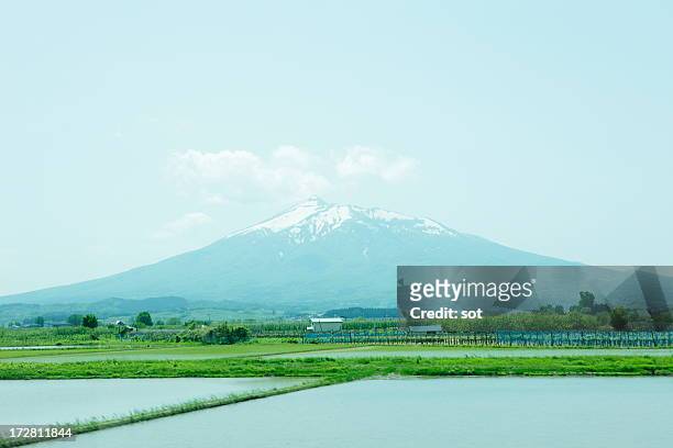 view of mountain from the train window - prefeitura de aomori imagens e fotografias de stock