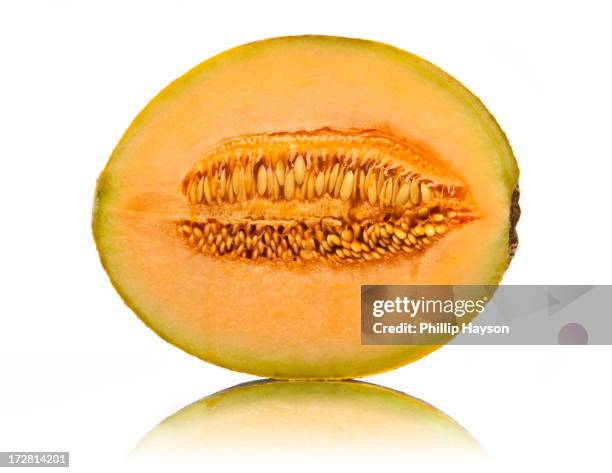 rockmelon - rockmelon stock pictures, royalty-free photos & images