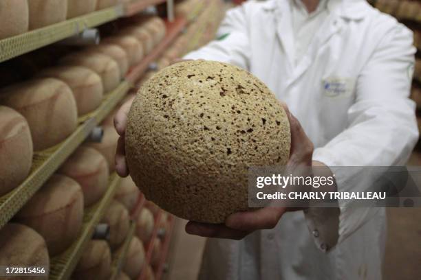 Cheesemonger holds a 24-month old mimolette cheese at a production site of the French Isigny Ste Mere company on July 4, 2013 in Isigny-sur-Mere,...