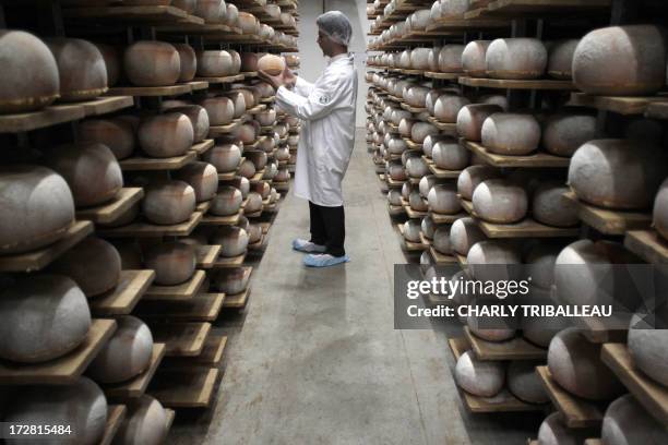 Cheesemonger checks mimolette cheese at a production site of the French Isigny Ste Mere company on July 4, 2013 in Isigny-sur-Mere, northwestern...