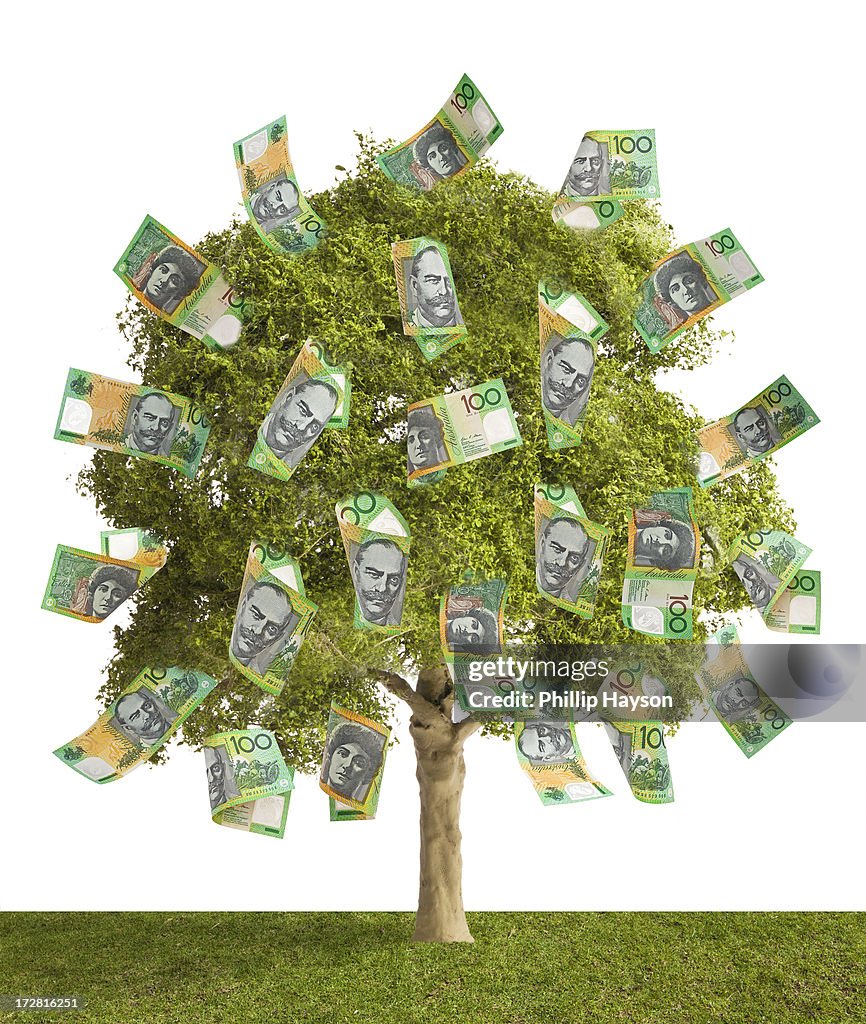 Money Tree High-Res Stock Photo - Getty Images