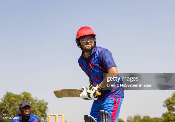 cricket batter - cricket stock pictures, royalty-free photos & images