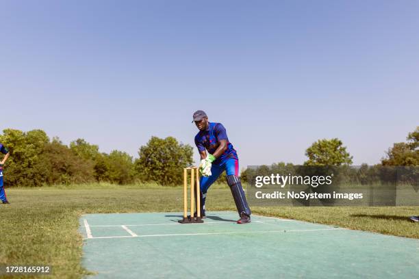 cricket-wicket-keeper - dismissal cricket stock-fotos und bilder