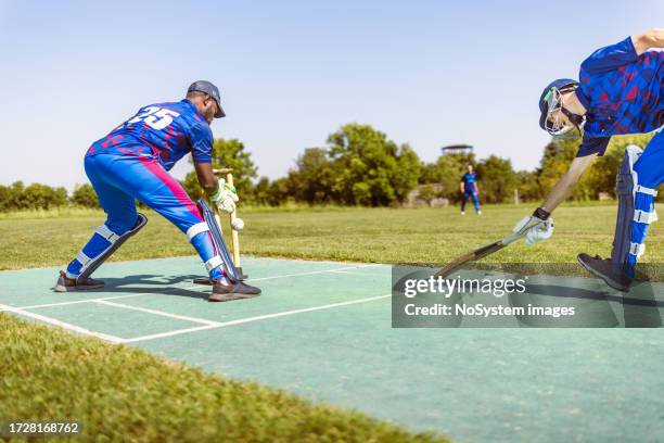 cricket wicket keeper - dismissal cricket stock pictures, royalty-free photos & images