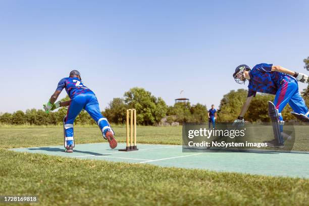 cricket-wicket-keeper - dismissal cricket stock-fotos und bilder