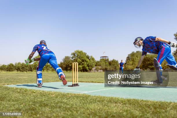 cricket wicket keeper - dismissal cricket stock pictures, royalty-free photos & images