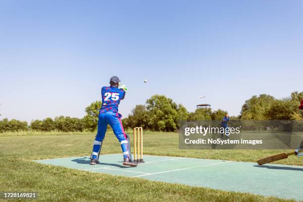 cricket wicket keeper - dismissal cricket stock pictures, royalty-free photos & images