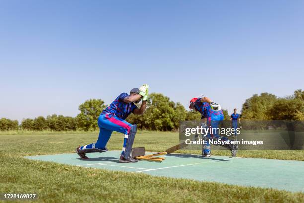 cricket-wicket-keeper - dismissal cricket stock-fotos und bilder