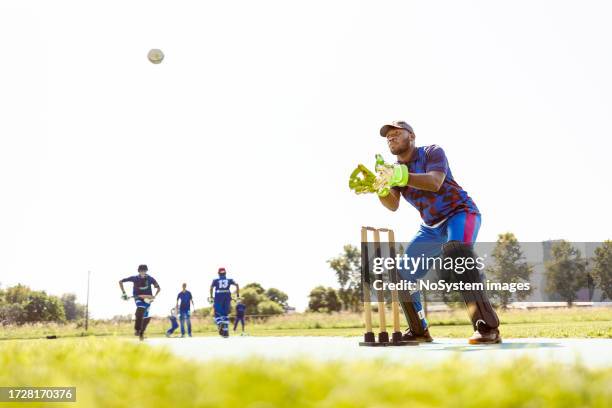 cricket-wicket-keeper - dismissal cricket stock-fotos und bilder