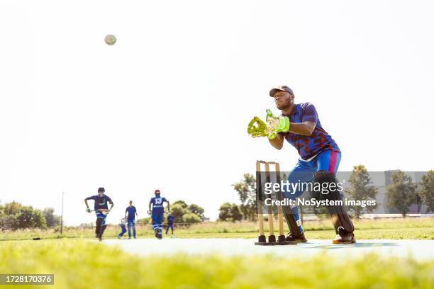 cricket wicket keeper - dismissal cricket stock pictures, royalty-free photos & images