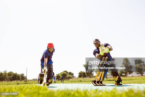 cricket wicket keeper - dismissal cricket stock pictures, royalty-free photos & images