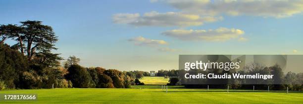 cricket field - cricket field stock pictures, royalty-free photos & images