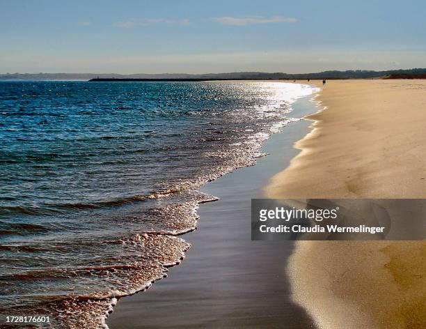 a walk on the beach - alvor stock pictures, royalty-free photos & images