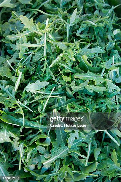 fresh rucola salad leaves for sale at market - rucola stock-fotos und bilder
