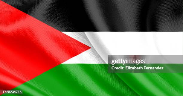 flag of palestine - palestijnse vlag stockfoto's en -beelden