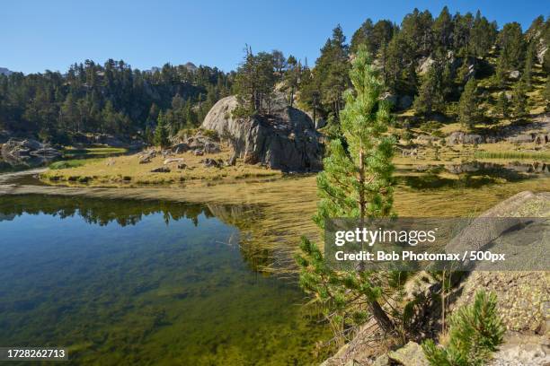 scenic view of lake against clear sky - randonnée pédestre stock pictures, royalty-free photos & images