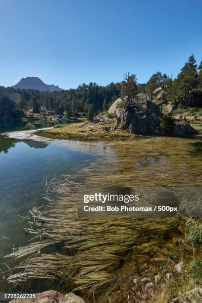 scenic view of lake against clear blue sky - randonnée pédestre stock pictures, royalty-free photos & images