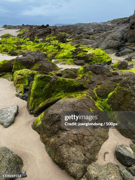 scenic view of rocks on beach against sky - cap fréhel stock pictures, royalty-free photos & images
