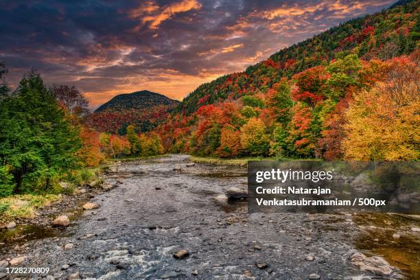 scenic view of river amidst trees against sky during autumn,lake placid,new york,united states,usa - lake placid stock pictures, royalty-free photos & images