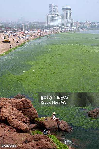 View show a public beach covered in a thick layer of green algae on July 05, 2013 in Qingdao, China. A large quantity of non-poisonous green seaweed,...