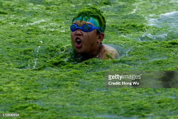 Child swims in seawater covered in a thick layer of green algae on July 05, 2013 in Qingdao, China. A large quantity of non-poisonous green seaweed,...