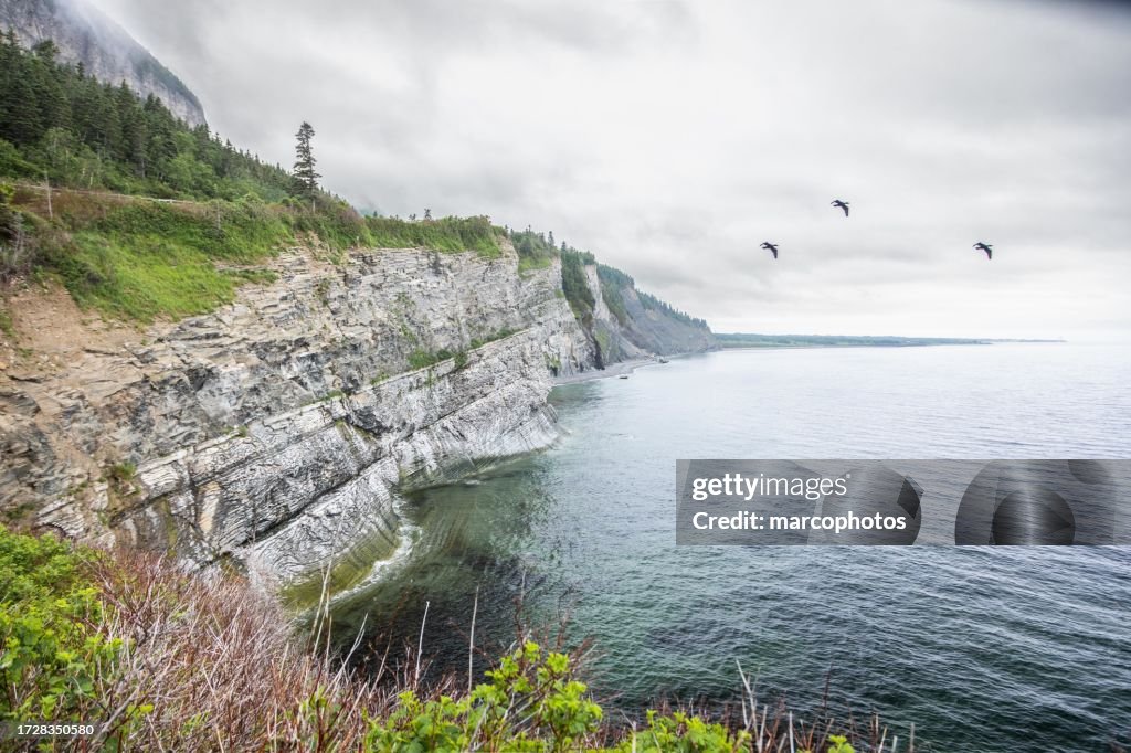 Landschaft des Parks Forillon in der Gaspésie. Provinz Quebec, Kanada.