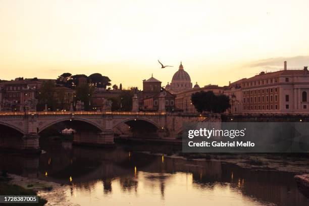 roma views by tiber river - river tiber stock pictures, royalty-free photos & images