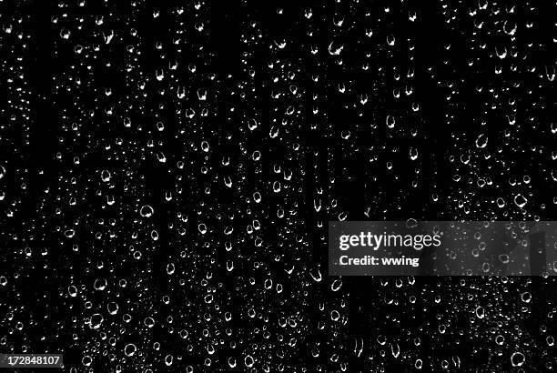 preto e branco de chuva - raindrop imagens e fotografias de stock