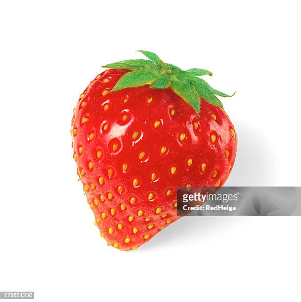 erdbeer-solo - erdbeeren freisteller stock-fotos und bilder