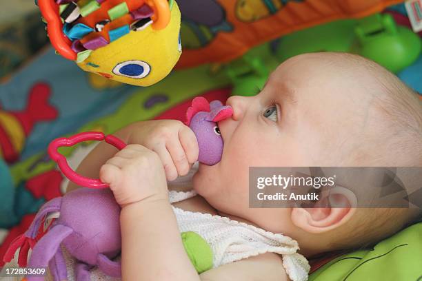 first skills - all in mouth - biting stock pictures, royalty-free photos & images