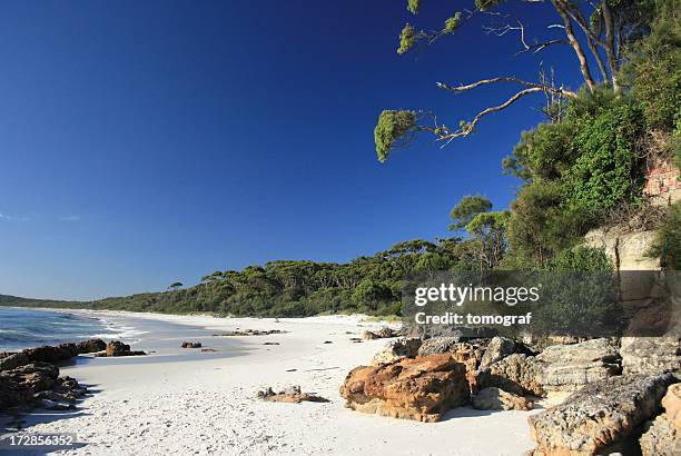 hyams praia, baía de jervis, nsw, austrália - baía de jervis imagens e fotografias de stock