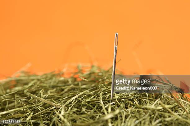 ニードルズの干し草 - needle in a haystack 英語の慣用句 ストックフォトと画像