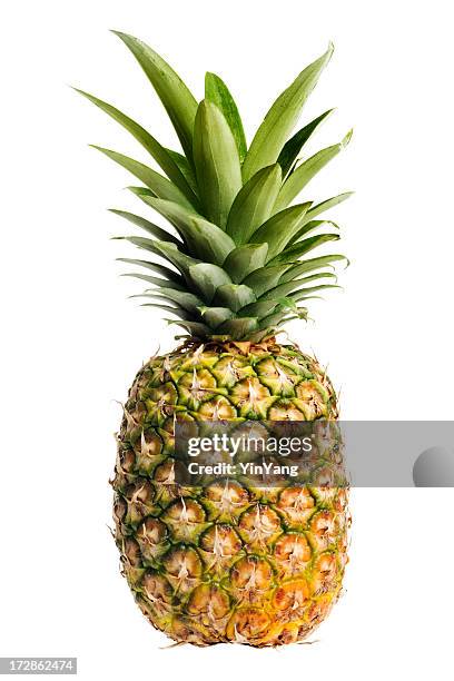 pineapple, a ripe, fresh fruit food, whole, isolated on white - pineapple stockfoto's en -beelden