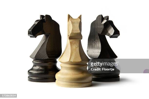 5,741 Chess Knight Photos and Premium High Res Pictures - Getty Images