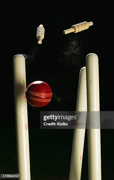 stumps de cricket - cricket player stock photos et images de collection