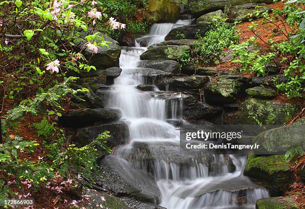 Spring Stock Image Ma 6,453 Massachusetts Spring Stock Photos, High-Res Pictures, and Images ...