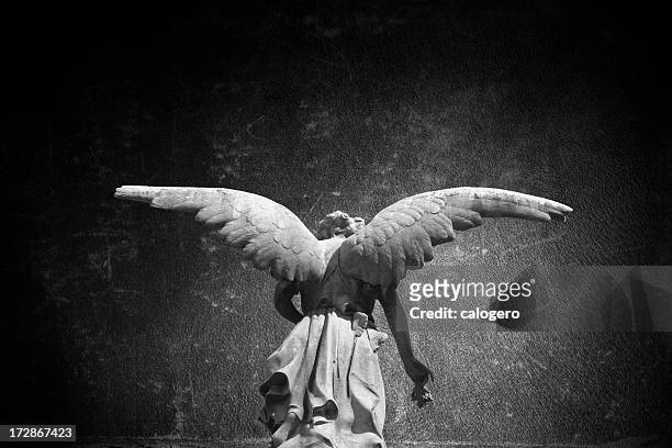 angel - angel wings stock pictures, royalty-free photos & images
