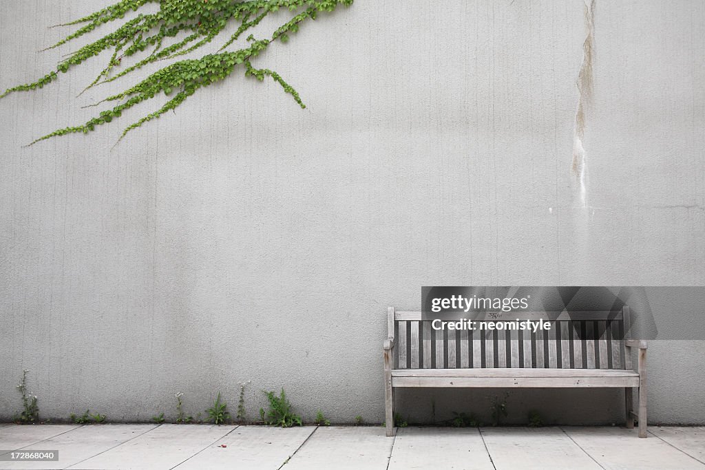 White wood bench by white wall with ivy creeping across it